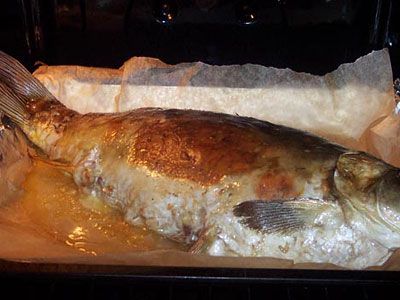 Карп тушеный с пивом Карп тушеный с пивом