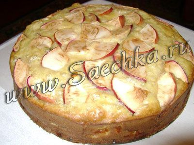 Шарлотка двойная Шарлотка двойная