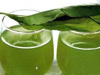 Щавелевый кисель Щавелевый кисель