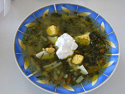 Щи из крапивы Щи из крапивы