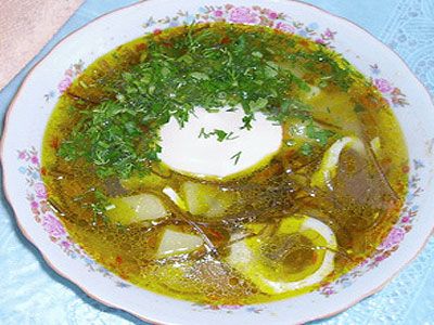 Щи с крапивой Щи с крапивой