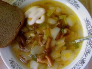 Супчик на мясном бульоне с опятами Супчик на мясном бульоне с опятами