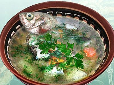 Уха из головизны