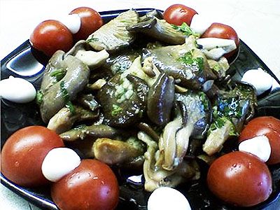 Вешенка жареная Вешенка жареная