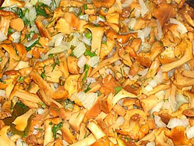 Жаркое из грибов Жаркое из грибов